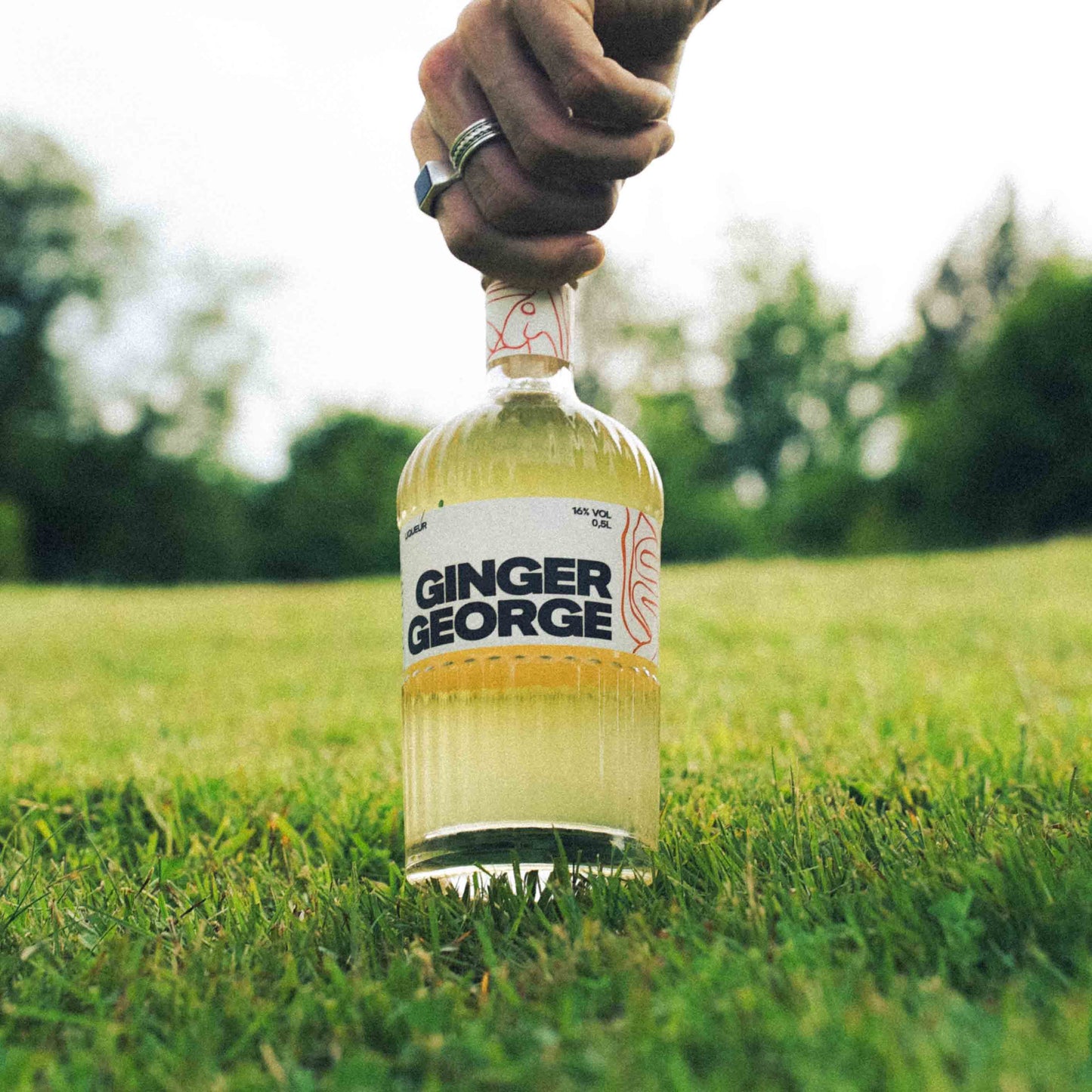 Ginger George